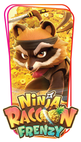 NInja Raccoon Frenzy​